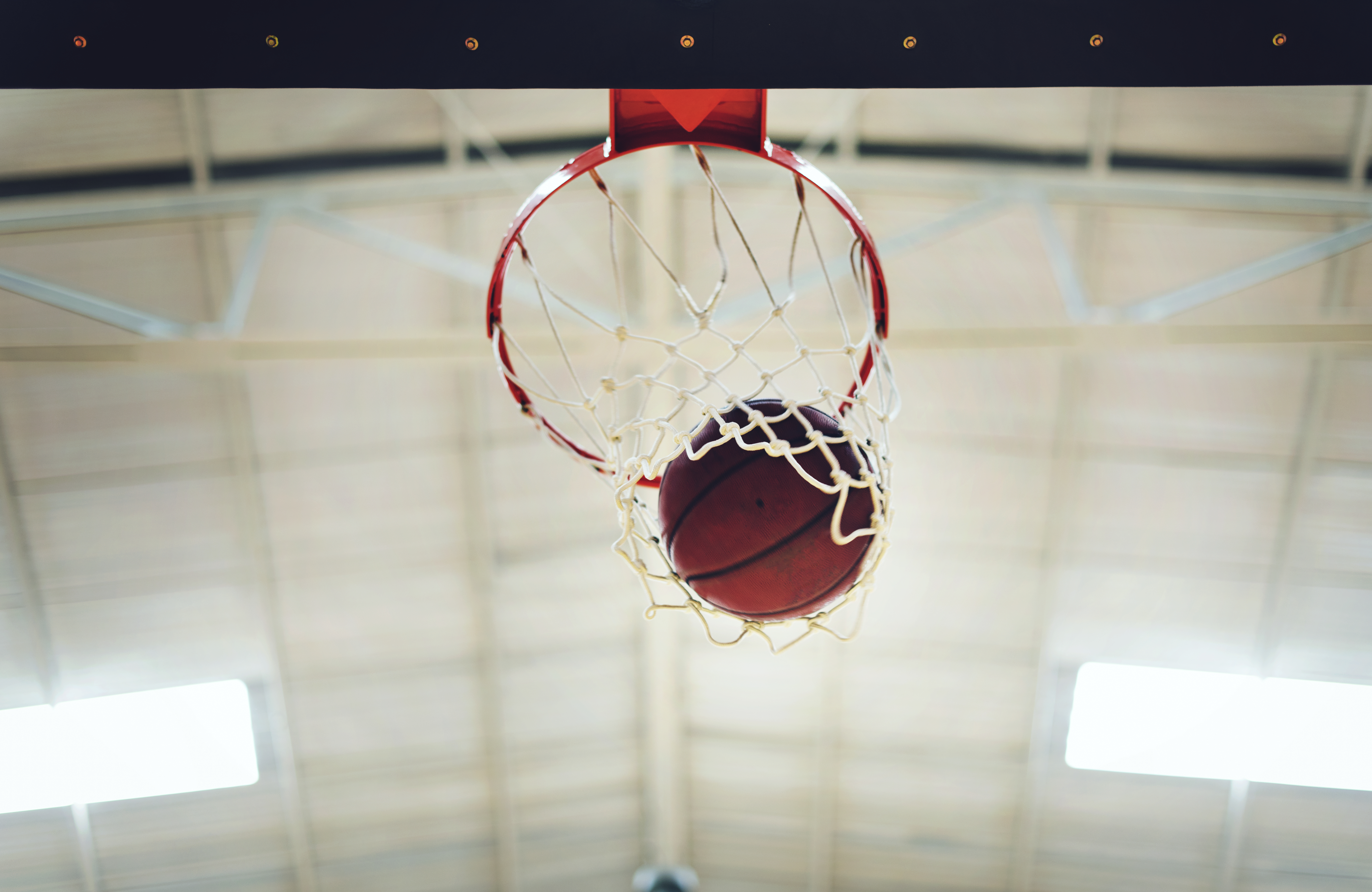Basketball i net