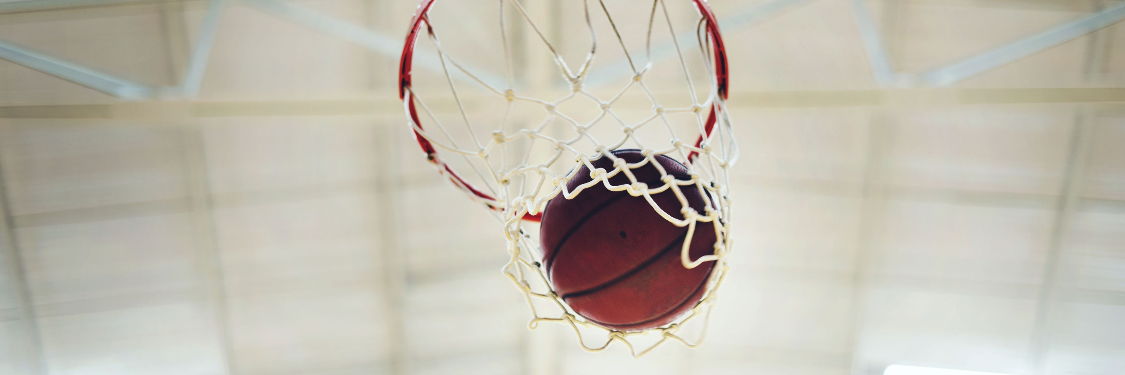 Basketball i net