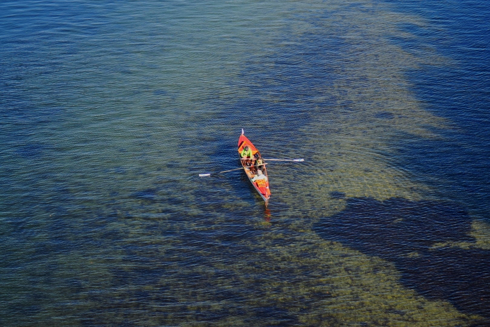 Havkajak på Svendborgsund