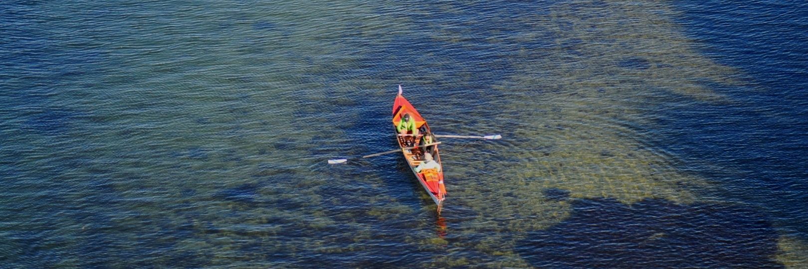 Havkajak på Svendborgsund