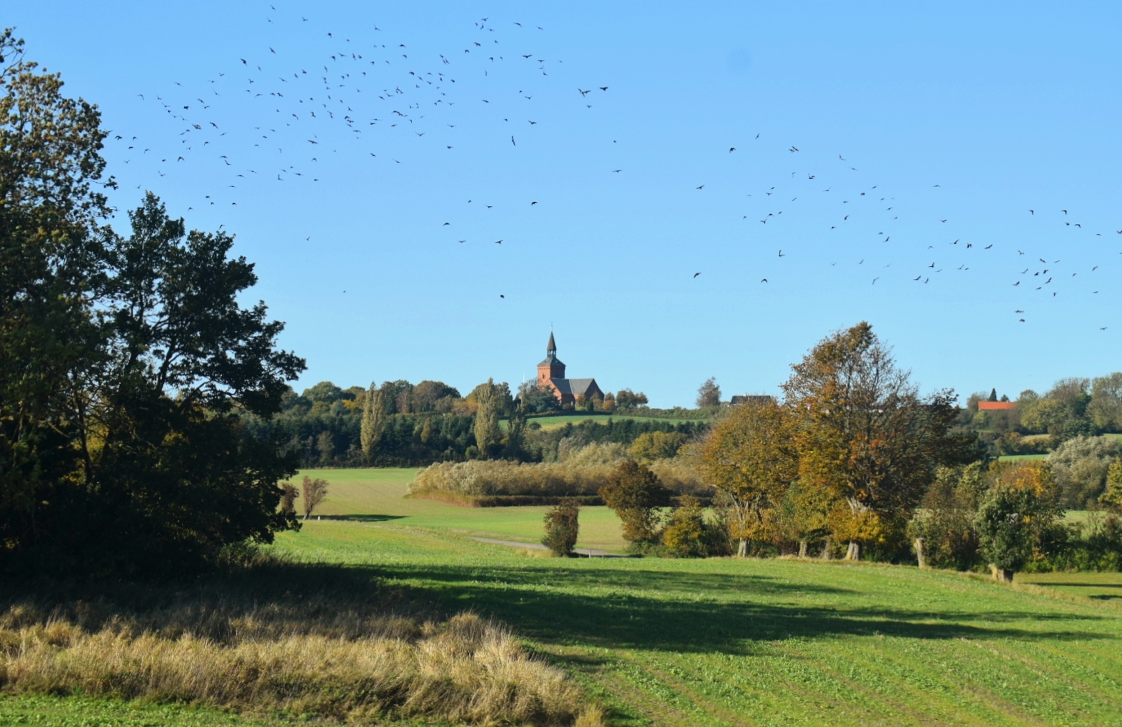 Bregninge Kirke på toppen af Tåsinge
