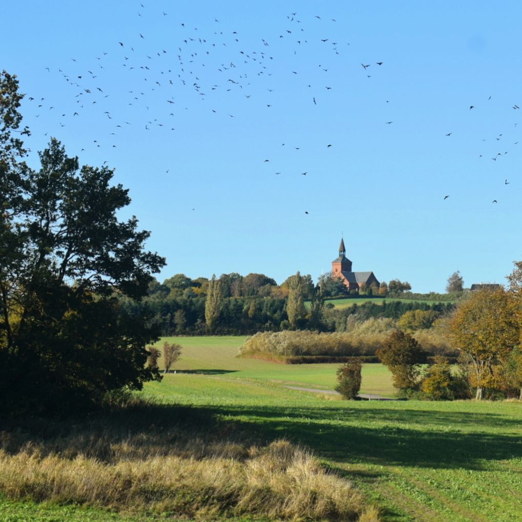 Bregninge Kirke på toppen af Tåsinge