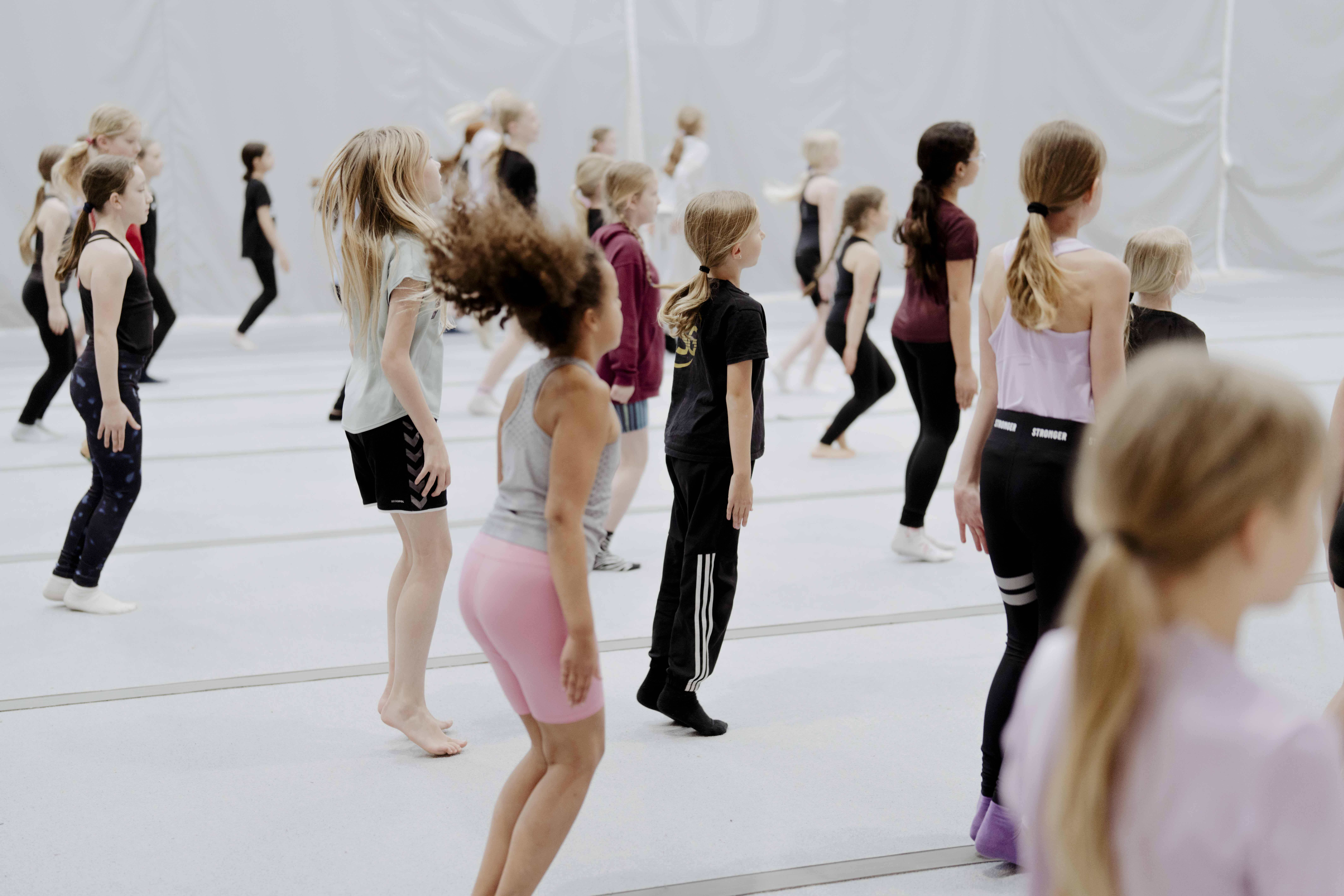 Svendborg Gymnastikforening