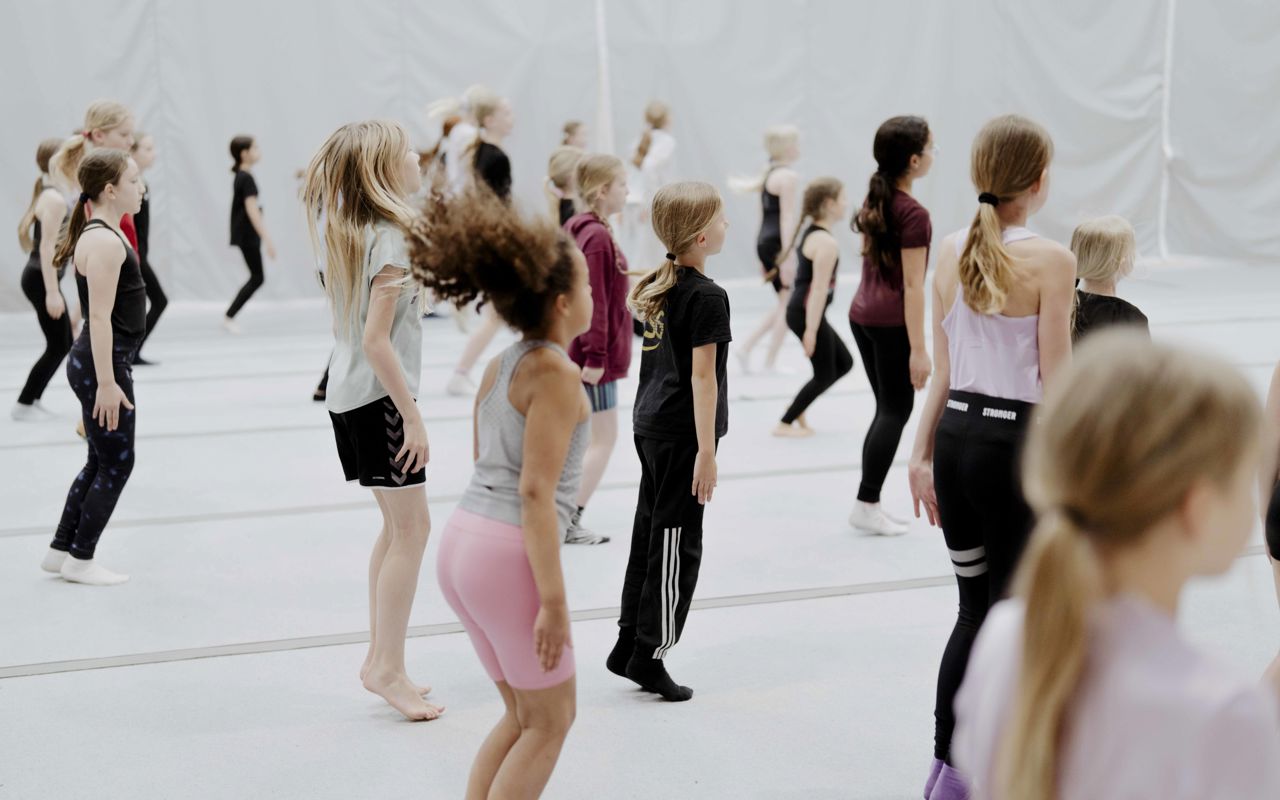 Svendborg Gymnastikforening