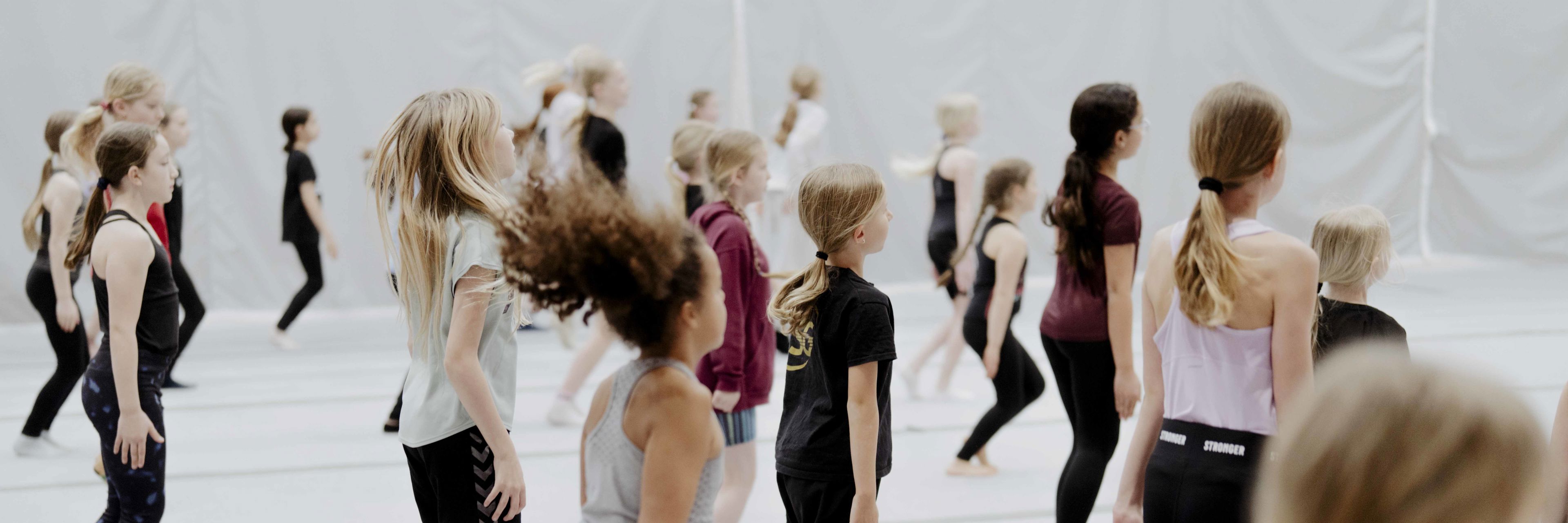 Svendborg Gymnastikforening